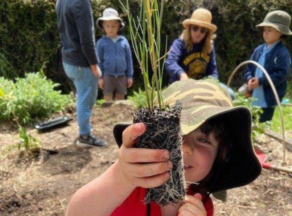 planting seeds and plants for nature play based learning gowrie